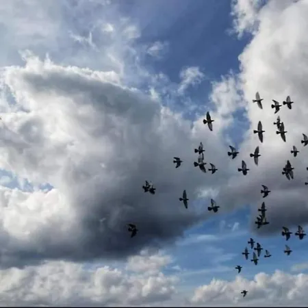 Vakantiehuis Ruxidoira, Ventana Al Atlantico