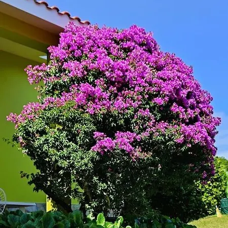 Holiday home Ruxidoira, Ventana Al Atlantico Valdovino