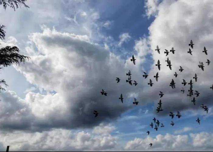 別荘 Ruxidoira, Ventana Al Atlantico