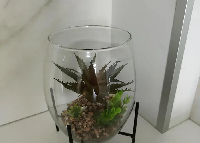 Ruxidoira, Ventana Al Atlantico 別荘